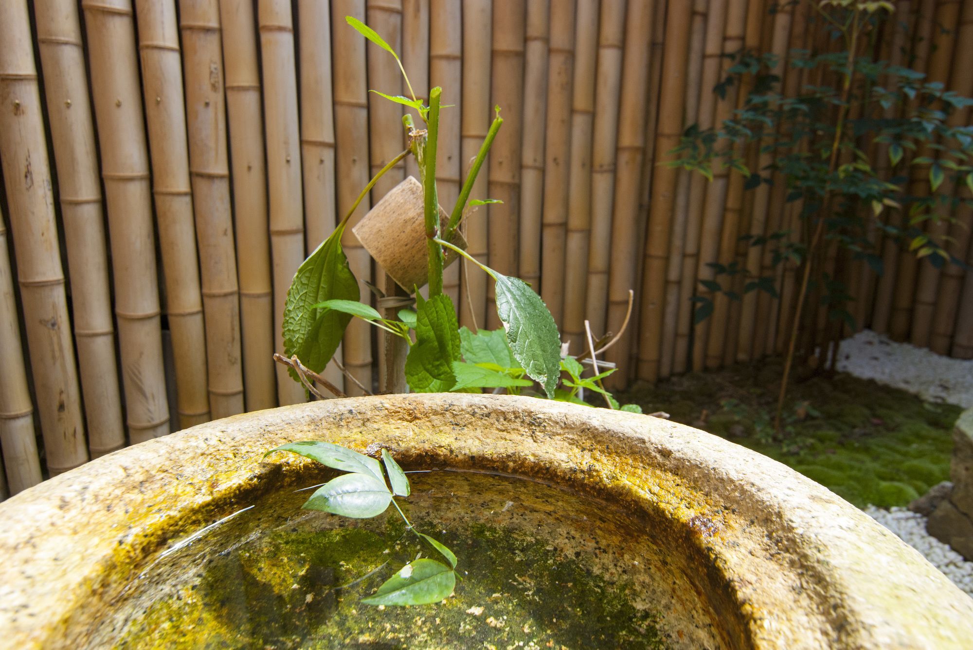 Kyo No Yado Bamboo Town Villa Kyoto Exterior foto